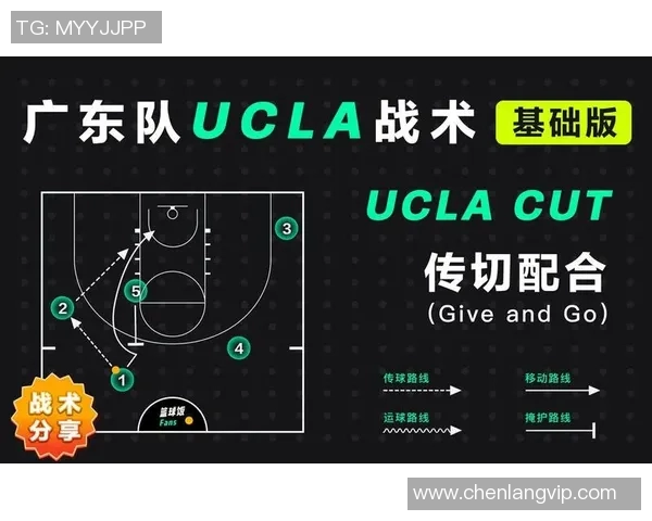 从零起步掌握篮球技巧与战术全解析助你成为球场高手