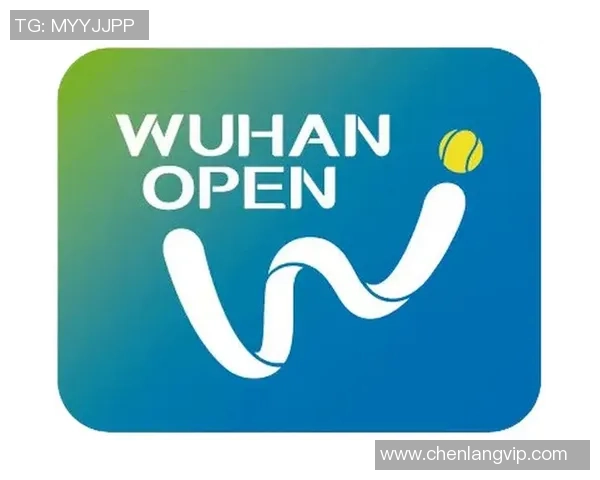 武汉网球队在邀请赛中的战术表现分析与点评总结