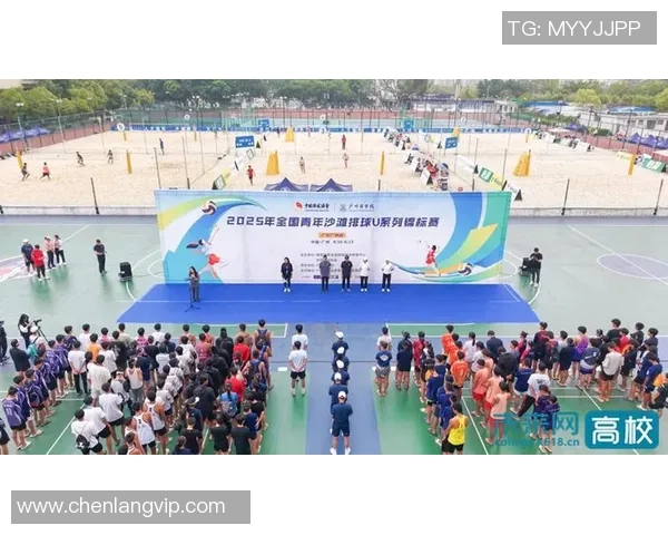 刘敏独家分享排球心得与技巧助你提升球技的全面指南 刘敏独家分享排球心得与技巧助你提升球技的全面指南