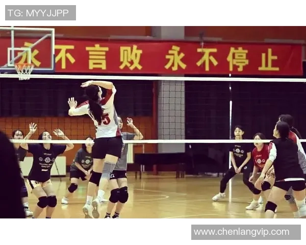 南京排球队的奋斗与荣耀：一段不平凡的排球纪实之旅