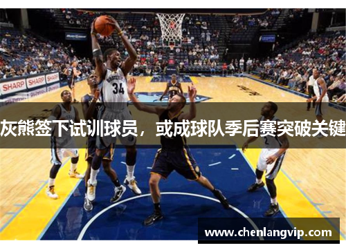 灰熊签下试训球员，或成球队季后赛突破关键